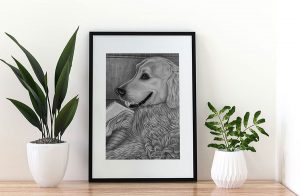draw-pets-from-photos-to-order-Draw4All